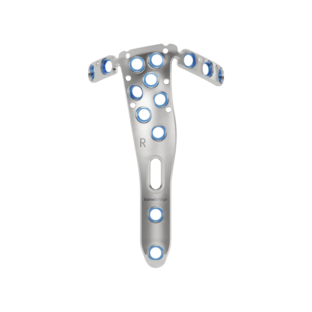 Bonebridge TAMINA & TAMINA TF